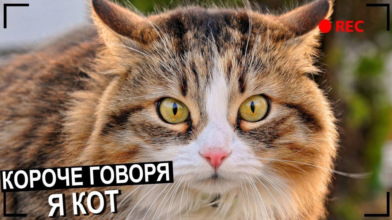 post-test-1775818713-image